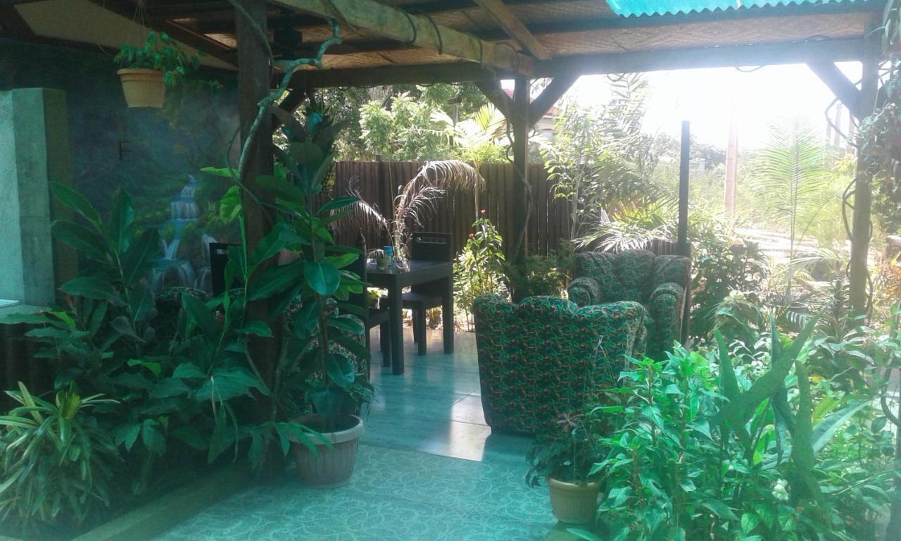 Jungle Of Peace Resort Сикихор Экстерьер фото