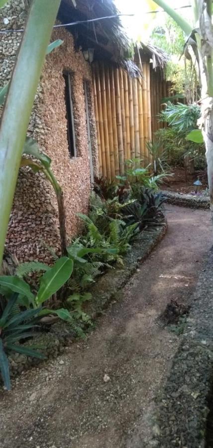 Jungle Of Peace Resort Сикихор Экстерьер фото